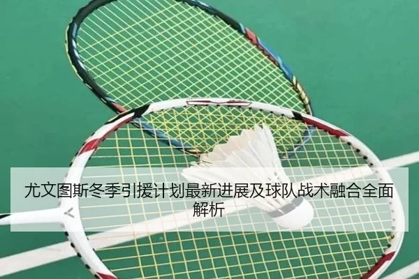尤文图斯冬季引援计划最新进展及球队战术融合全面解析